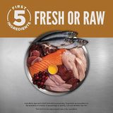 Great for Puppy Orijen Puppy 2kg Fresh Chicken & Turkey Formula