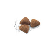 Royal Canin Feline Indoor 27 400g/2kg/4kg/10kg