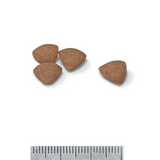 ROYAL MINI PUPPY JUNIOR 2KG / 4KG