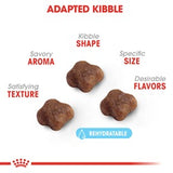 Royal Canin Feline Care Mother & Baby Cat 4kg