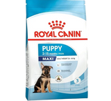 ROYAL CANIN MAXI PUPPY 4KG / 15KG