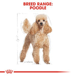 ROYAL CANIN POODLE ADULT 1.5KG/3KG/7.5KG