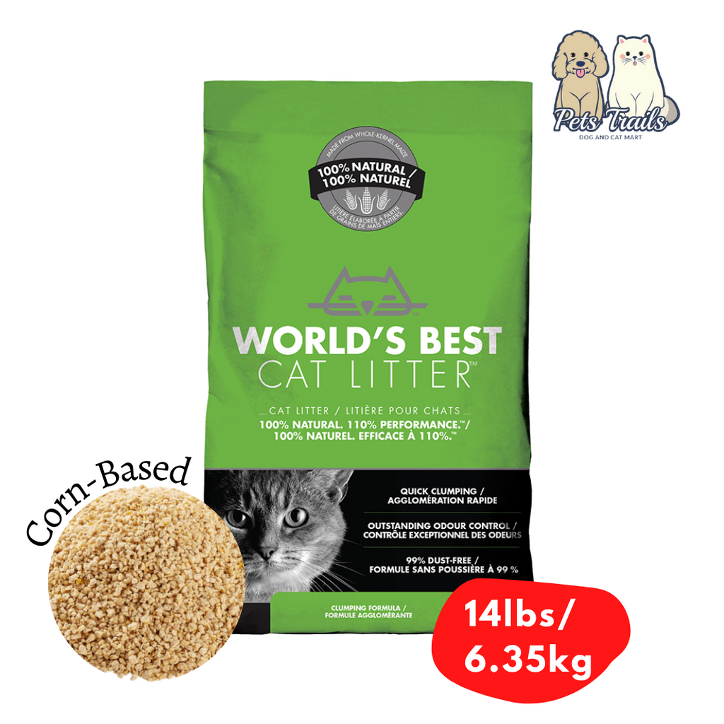 Best cat sales litter to buy