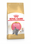 ROYAL CANIN BRITISH SHORT HAIR KITTEN 2KG